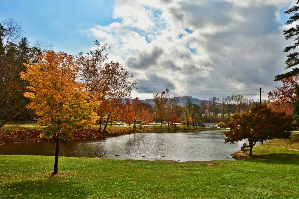 Weaverville real estate