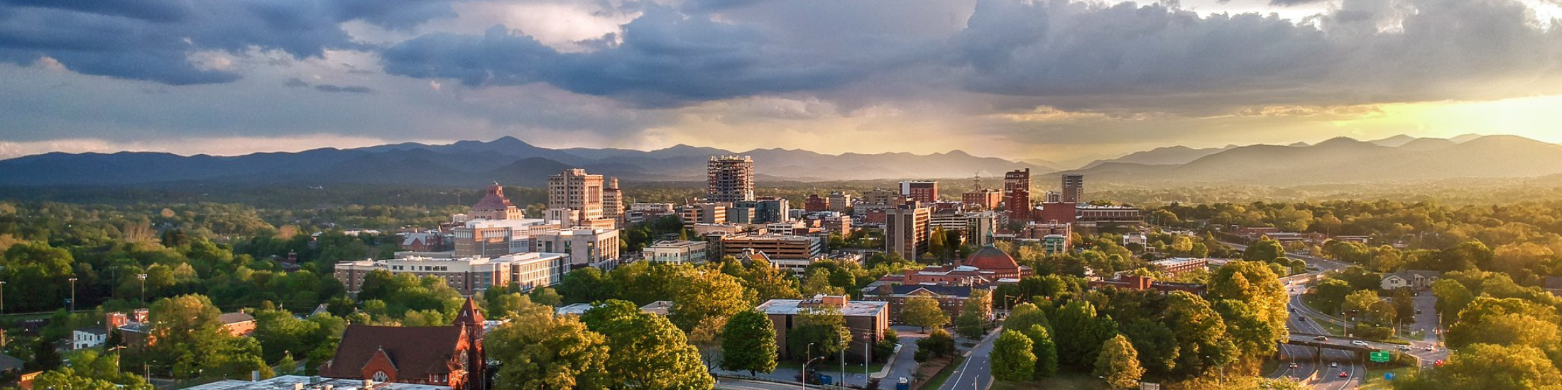 Asheville Real Estate Search