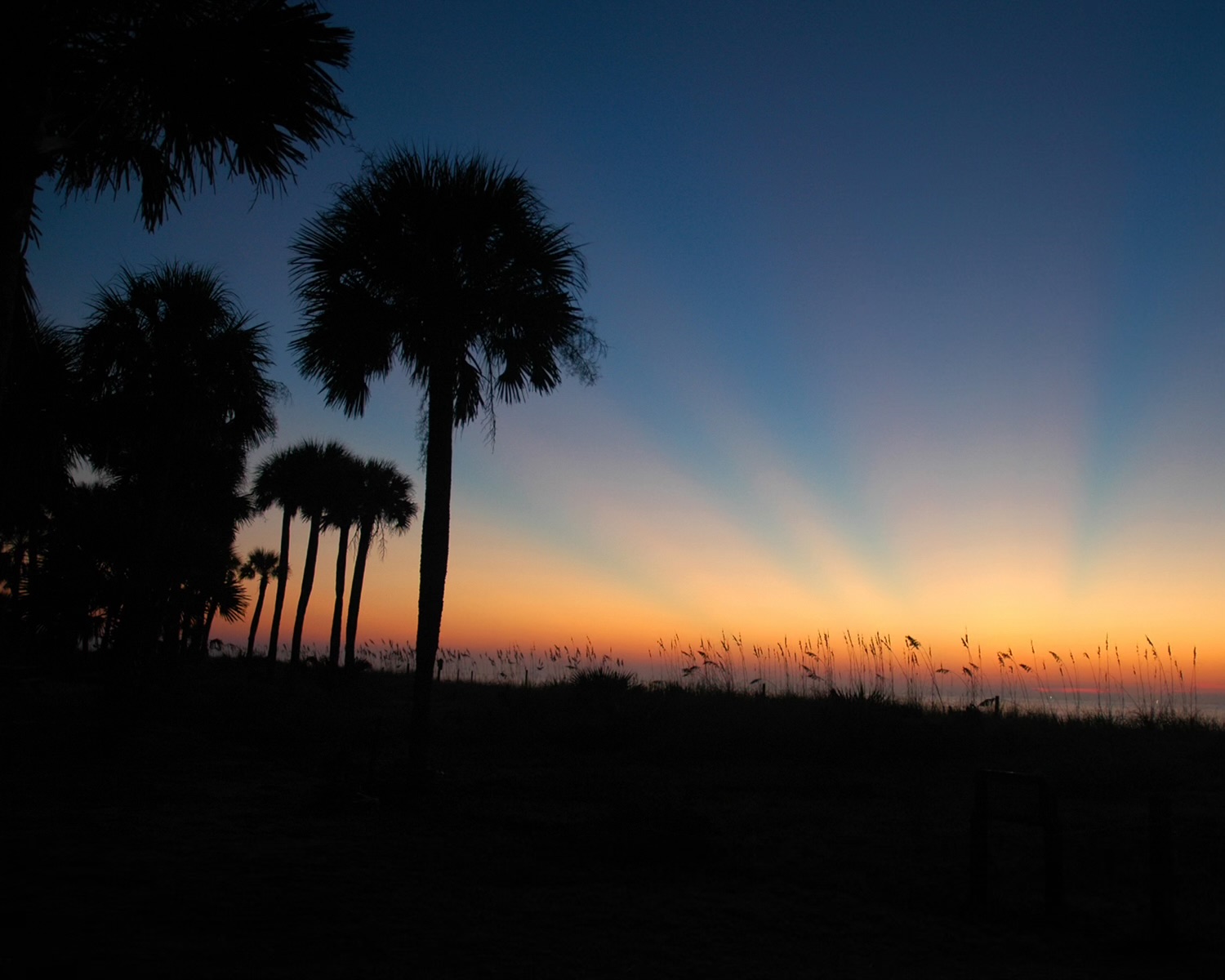 Sunrise From the Front Beach