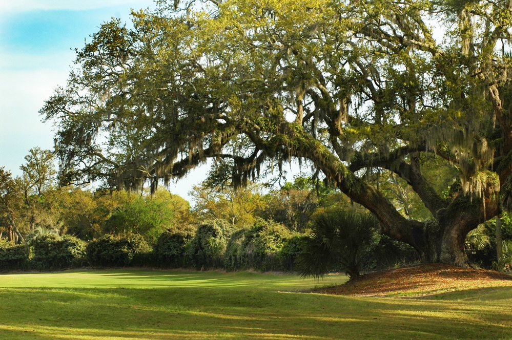 The Plantation Course at Wyndham Ocean Ridge