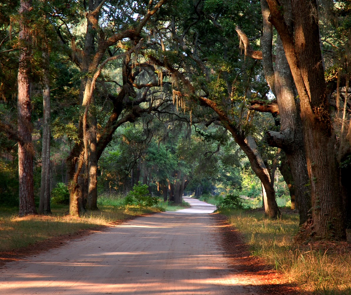 Botany Bay Road on Edisto Island