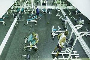 corolla light gym