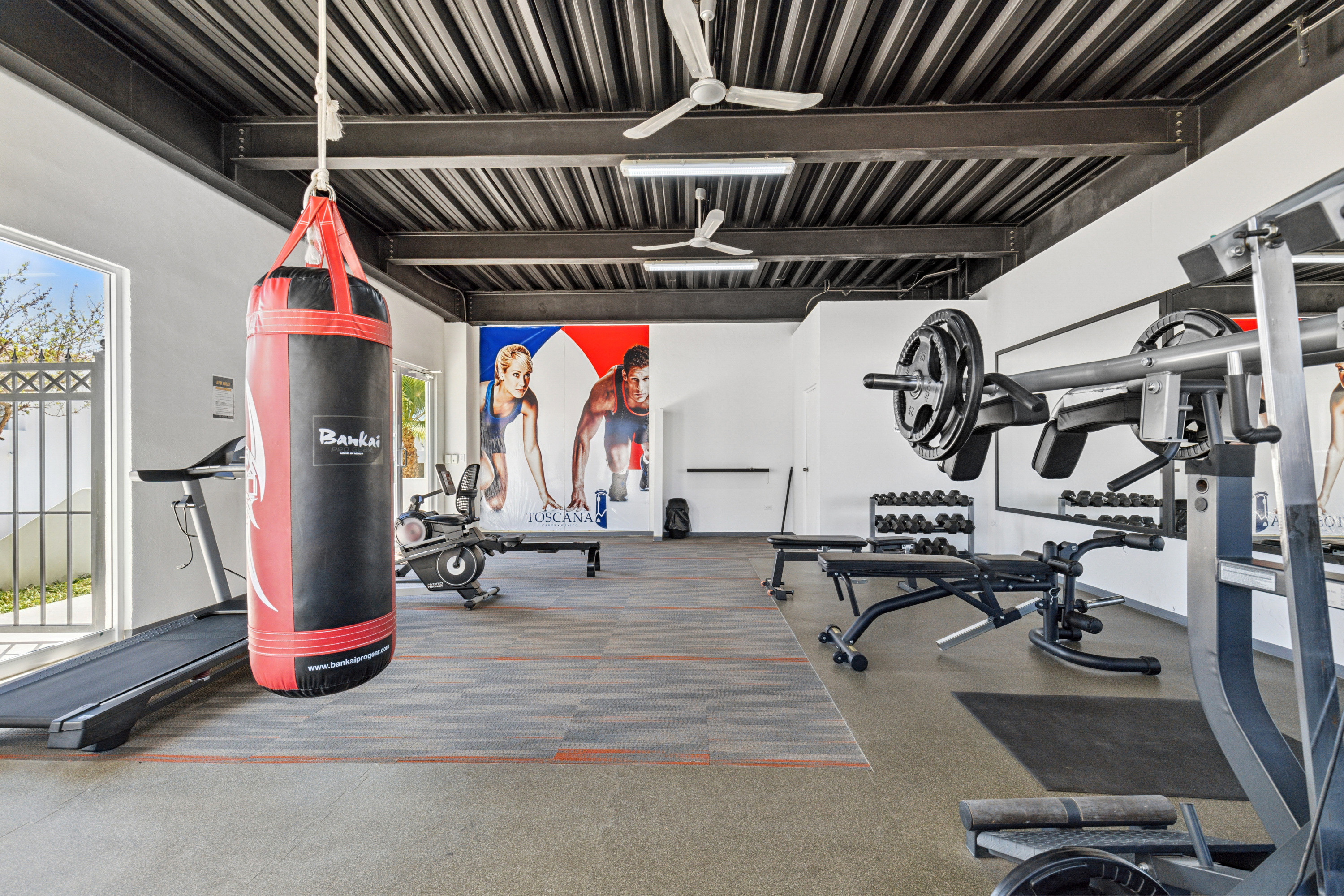 Gym
