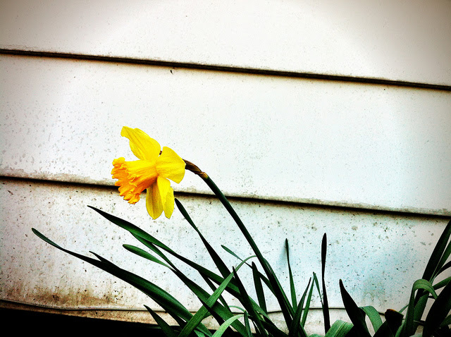 Buyers Eager To Get A Jump On spring