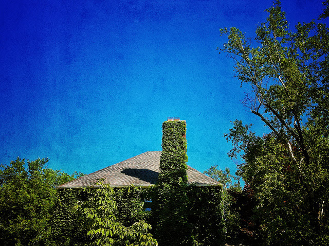 Green Features Add Value To Homes