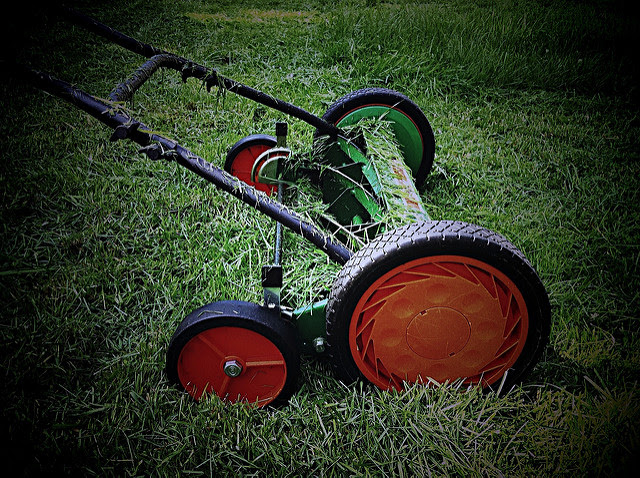 Lawn Tips