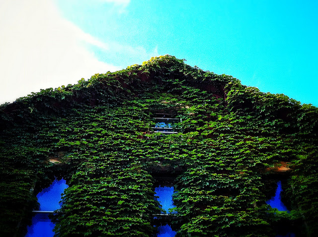 Realtors Say Buyers Want Green Homes