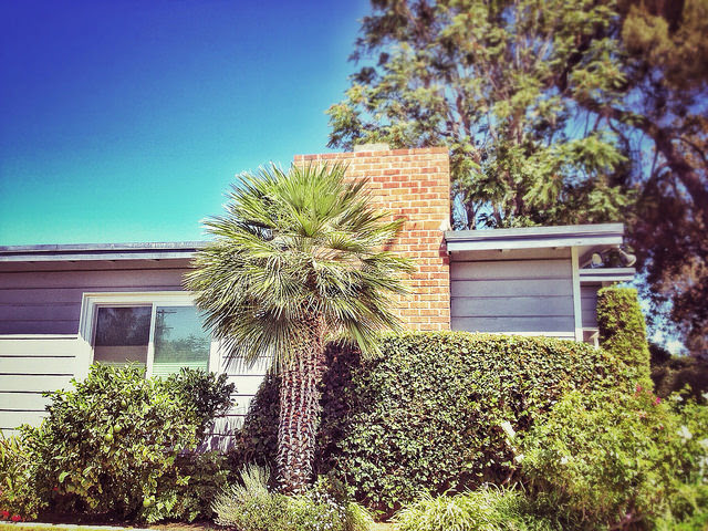 The Rising Cost Of Renting A Home