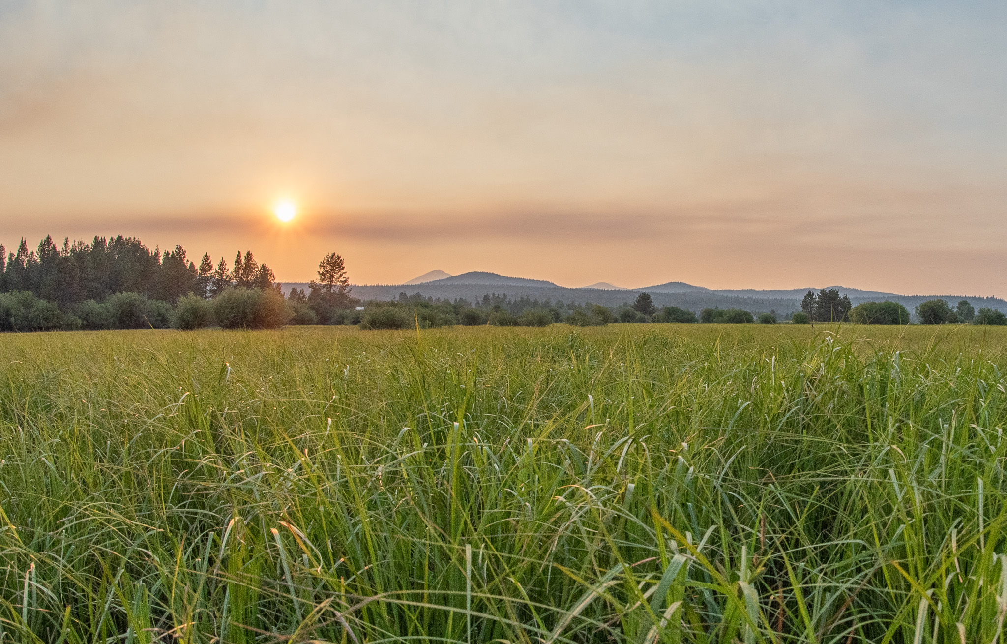Central Oregon Luxury Market Report for November 21, 2025