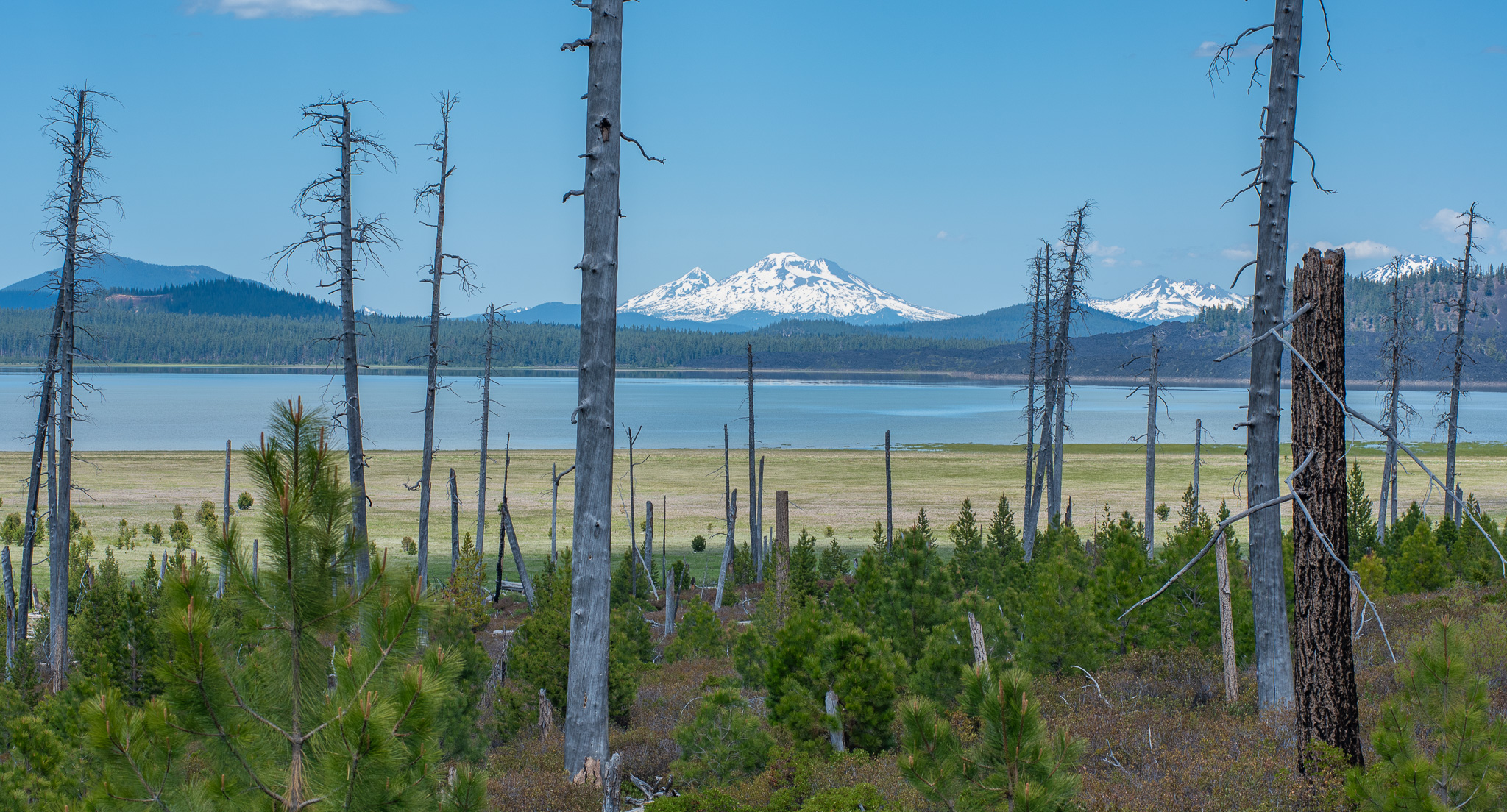 Central Oregon Luxury Market Report for August 8, 2025