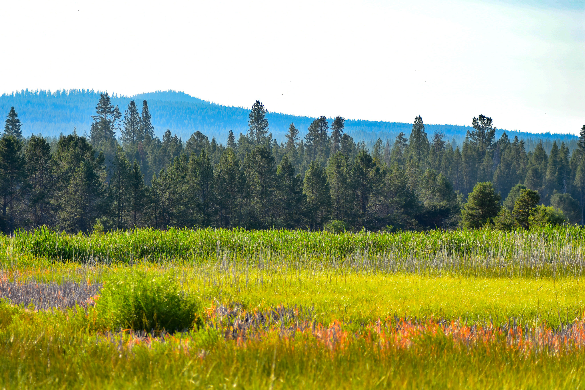 Central Oregon Luxury Market Report for December 5, 2025