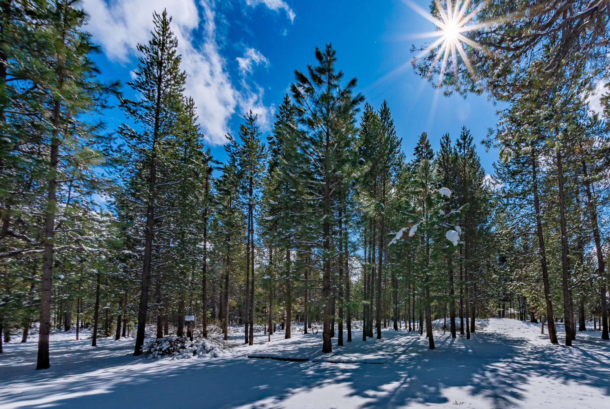 Central Oregon Luxury Market Report for February 20, 2026