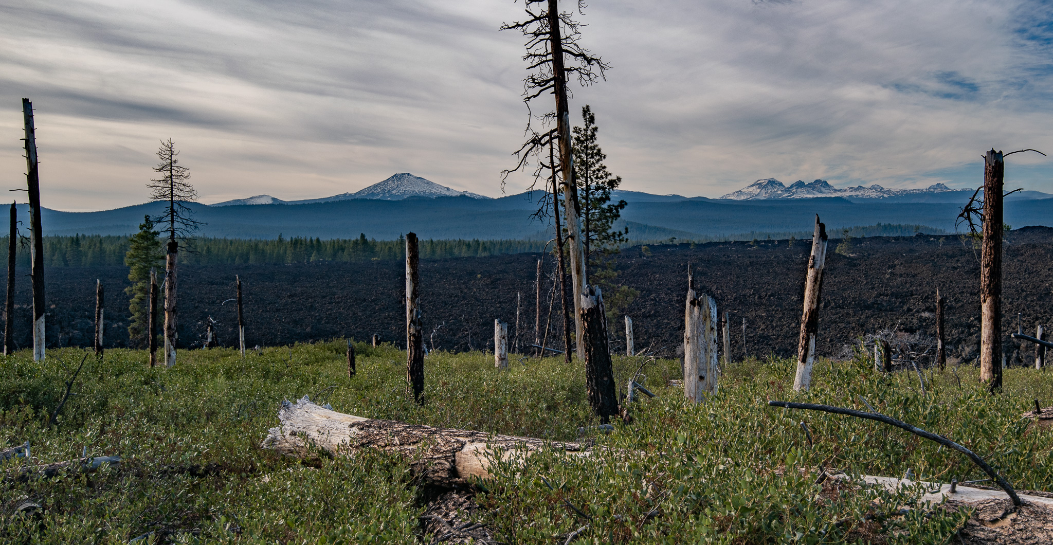 Central Oregon Luxury Market Report for February 6, 2026