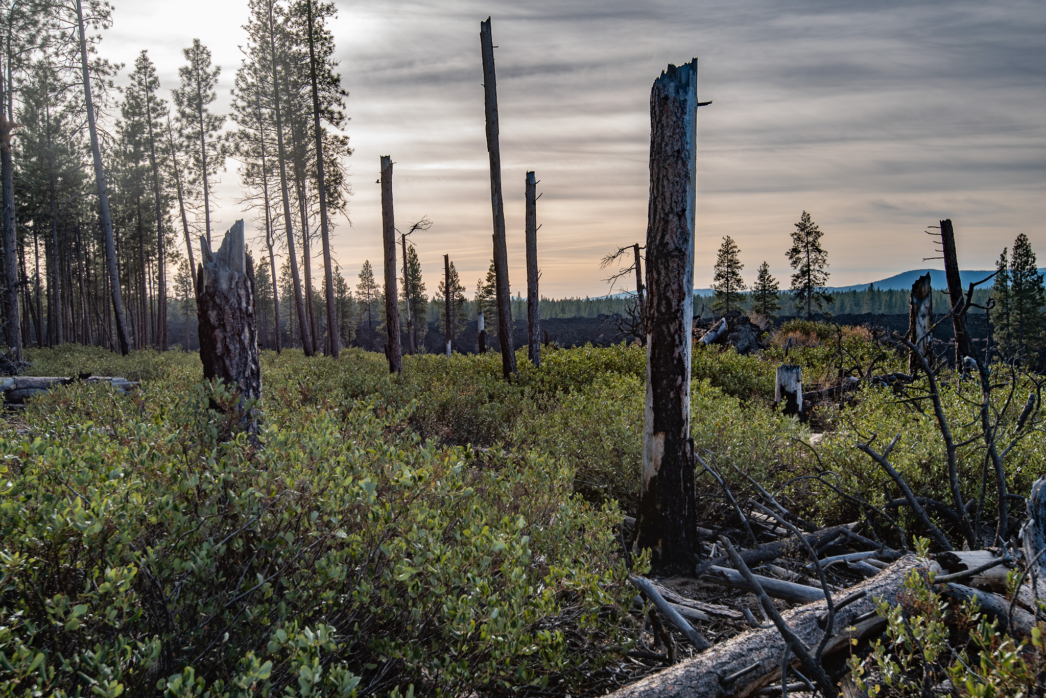 Central Oregon Luxury Market Report for May 15, 2026