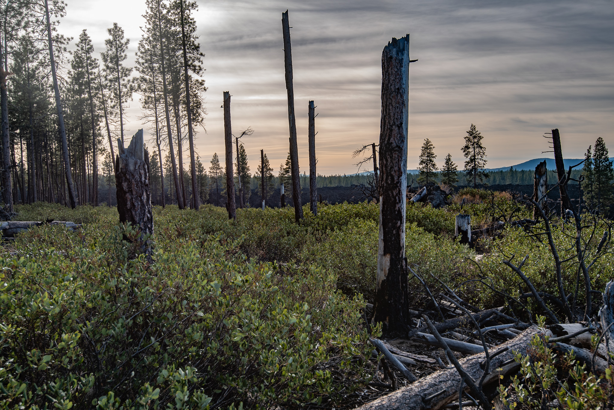 Central Oregon Luxury Market Report for September 26, 2025