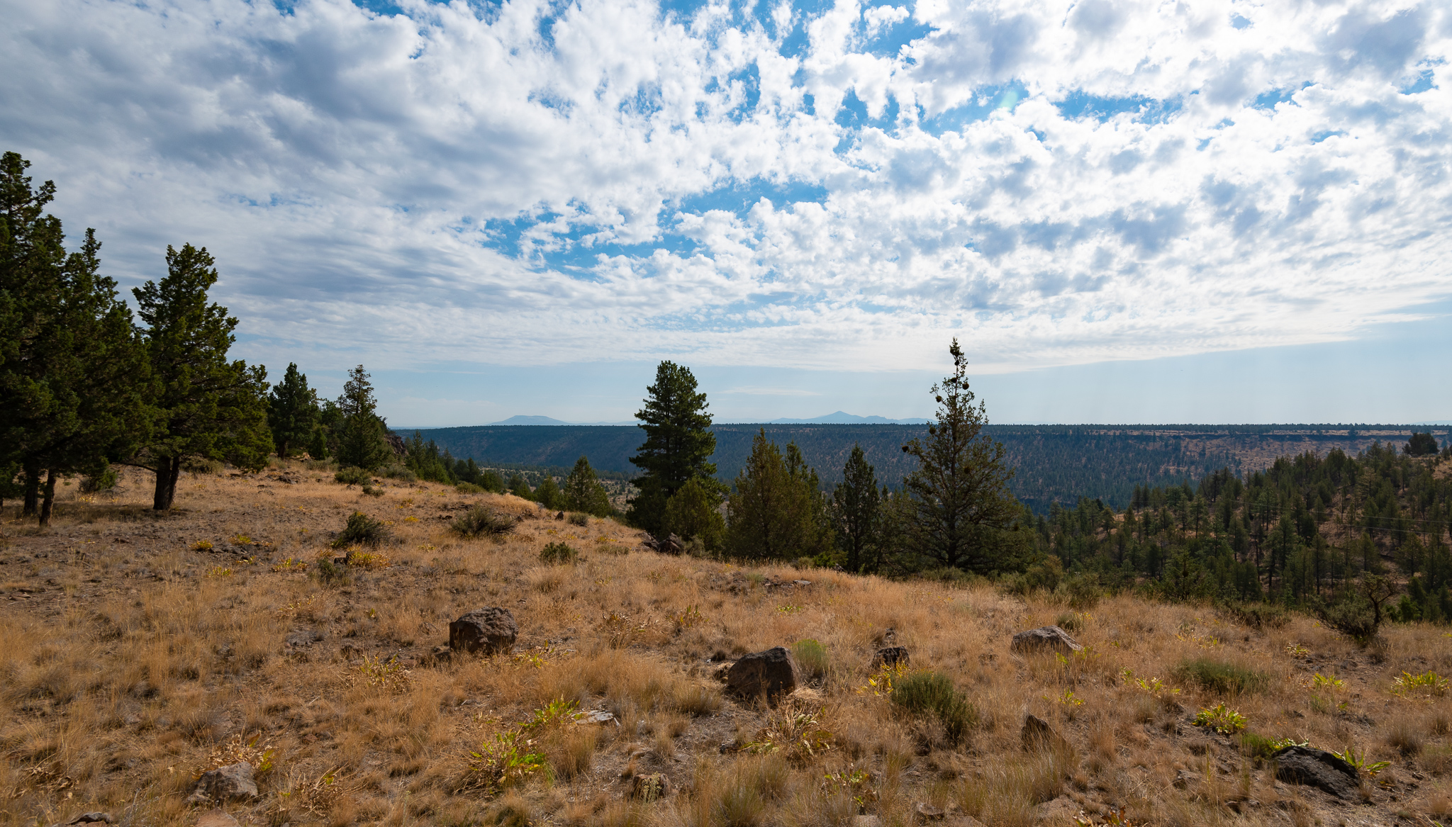 Central Oregon Housing Market Report for August 10, 2022