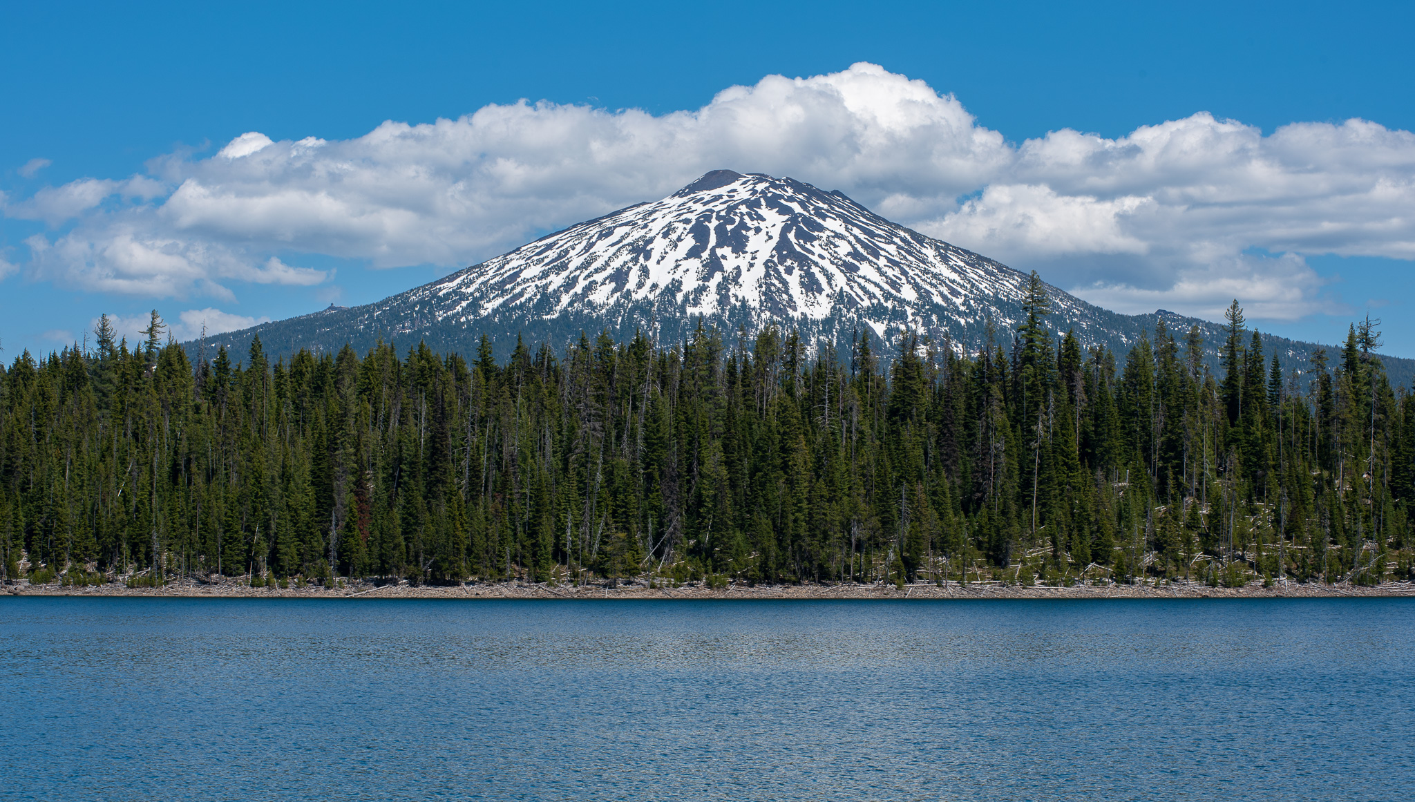 Central Oregon Market Report for August 9, 2023