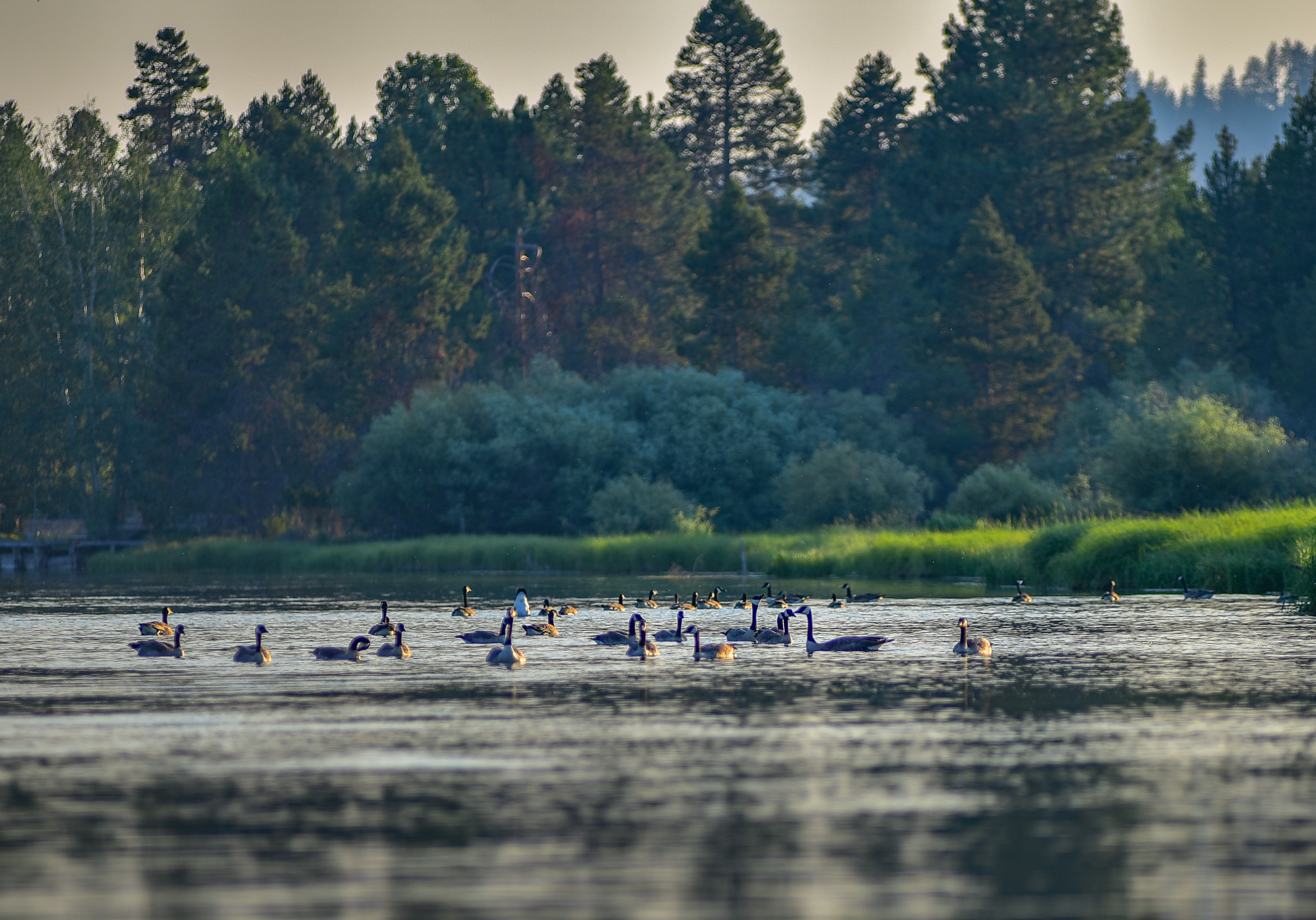 Central Oregon Market Report for December 10, 2025
