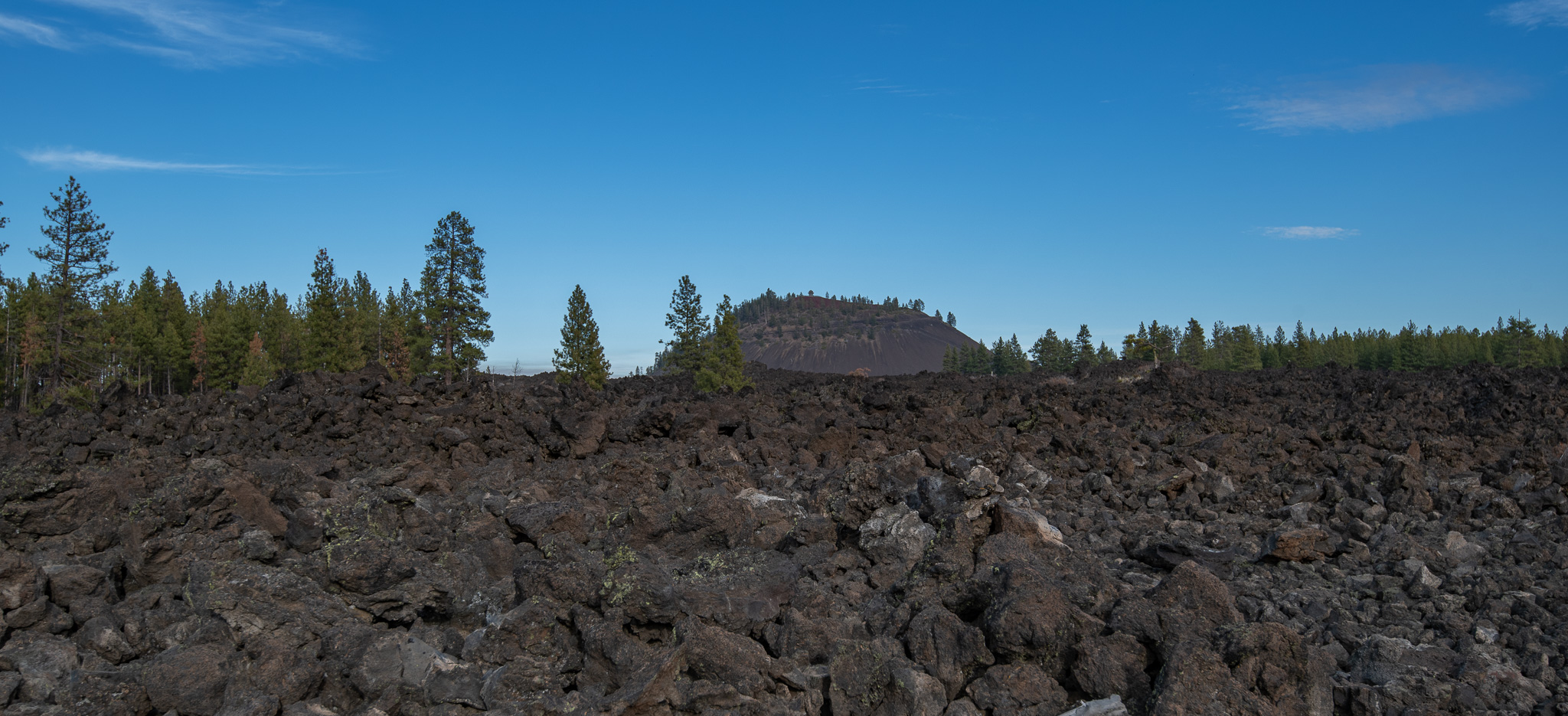 Central Oregon Market Report for December 11, 2024