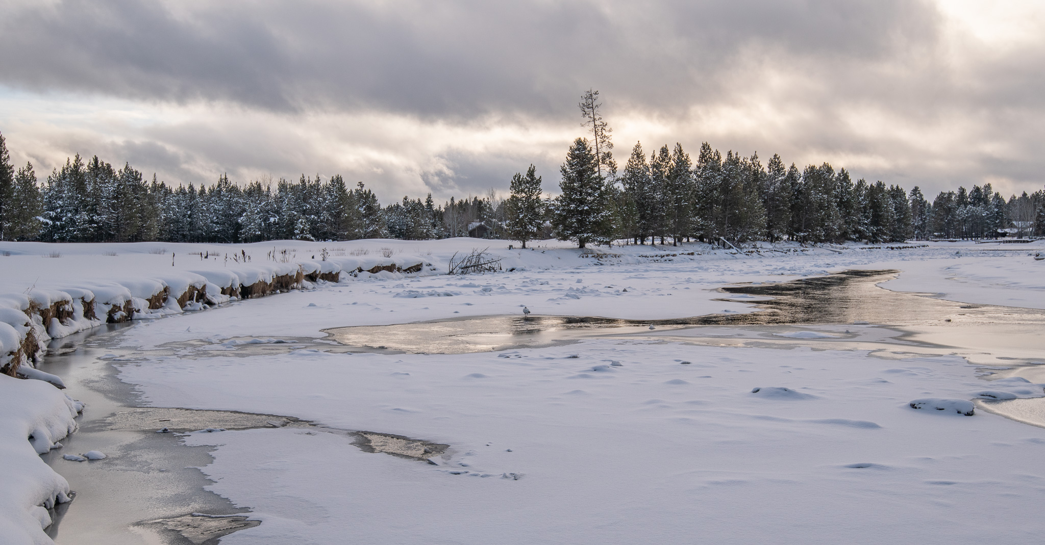 Central Oregon Market Report for February 5, 2025