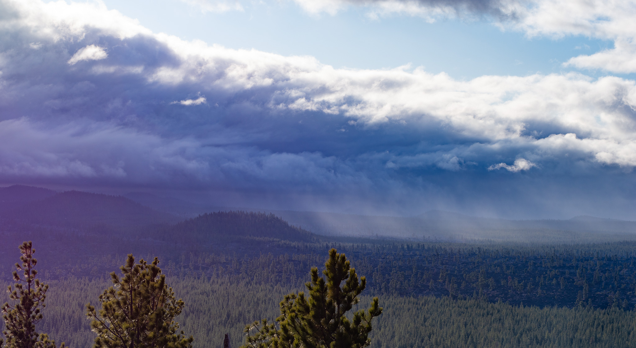 Central Oregon Market Report for February 22, 2023