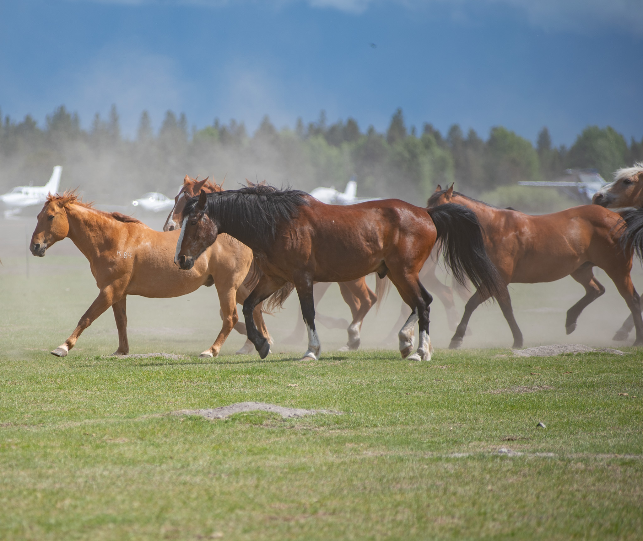 Central Oregon Market Report for January 28, 2026