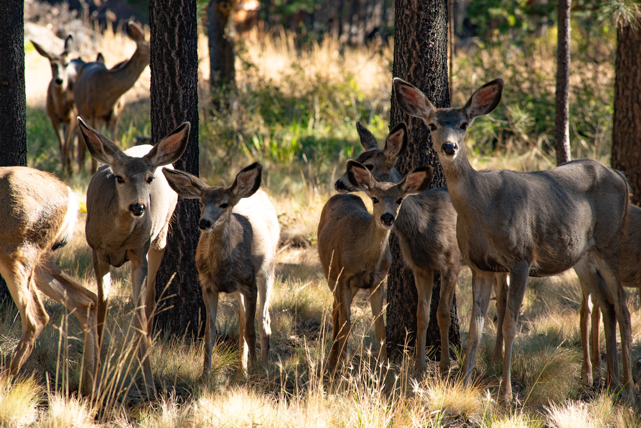 Central Oregon Market Report for July 15, 2026