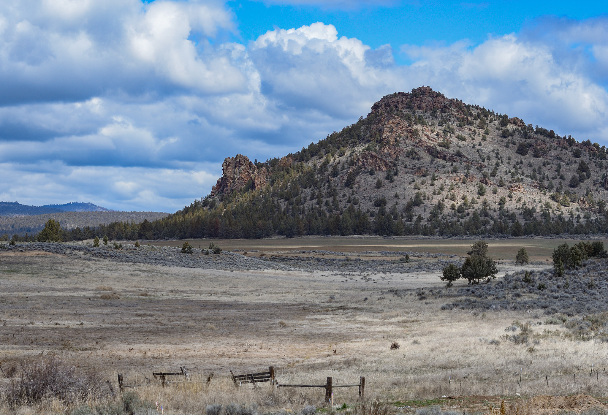 Central Oregon Market Report for July 22, 2026
