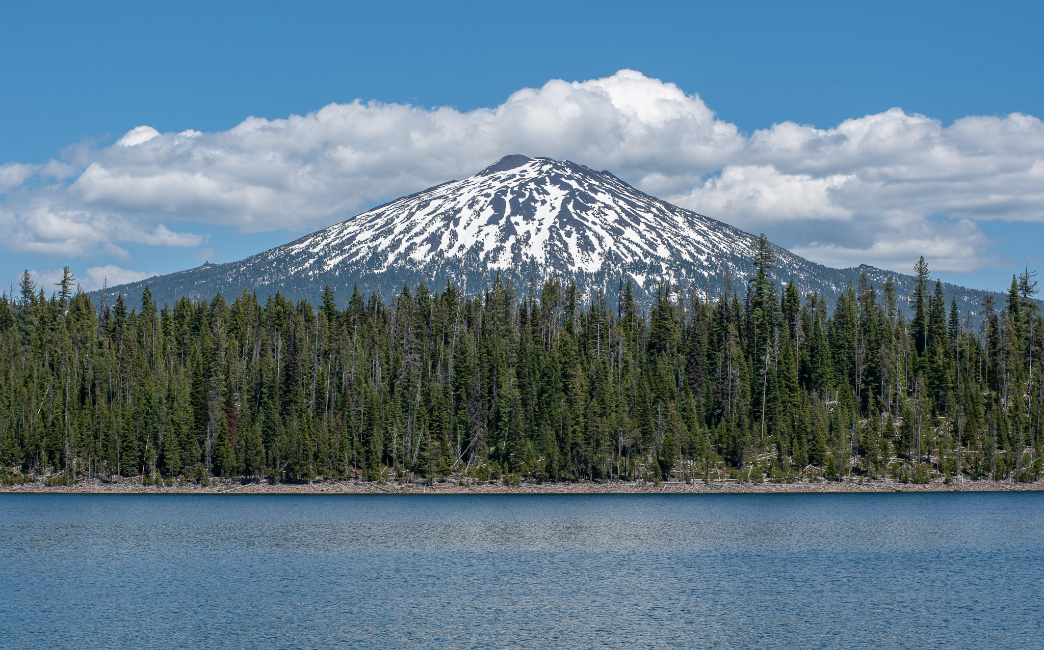 Central Oregon Market Report for June 17, 2026