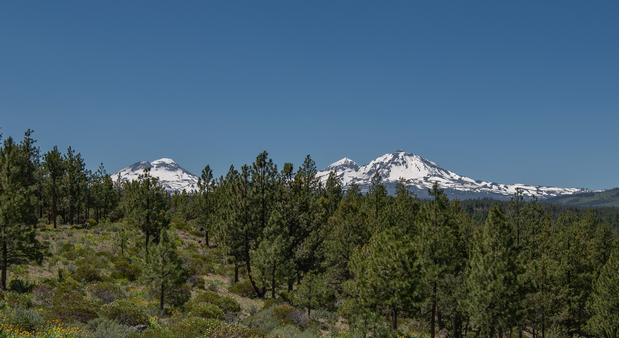 Central Oregon Market Report for June 24, 2026