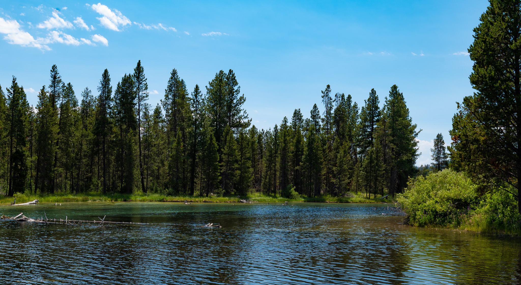 Central Oregon Market Report for June 5, 2024