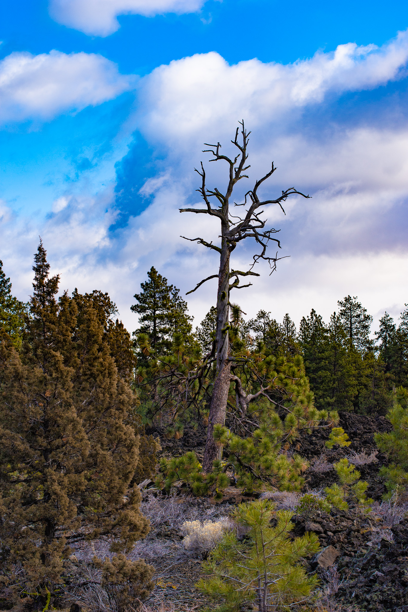 Central Oregon Market Report for March 22, 2023