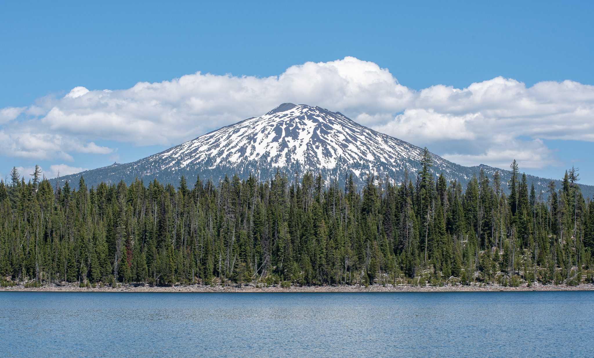Central Oregon Market Report for March 26, 2025