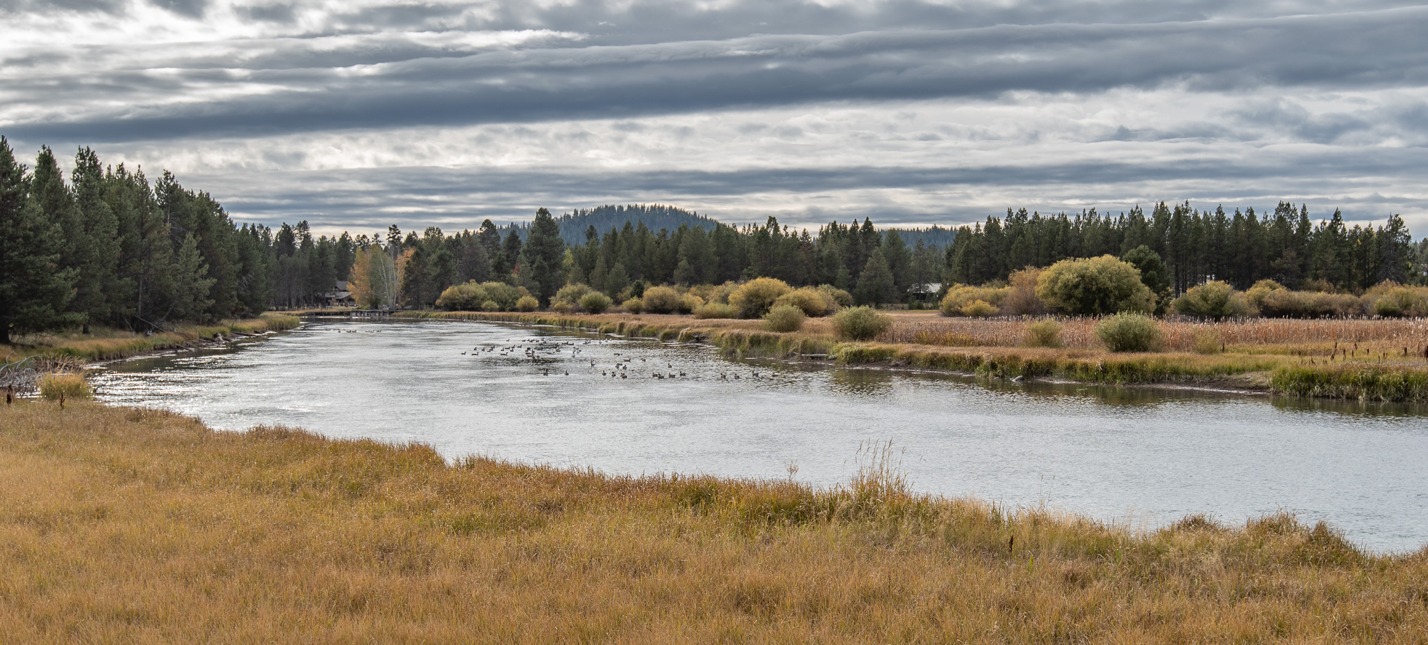 Central Oregon Market Report for May 1, 2024