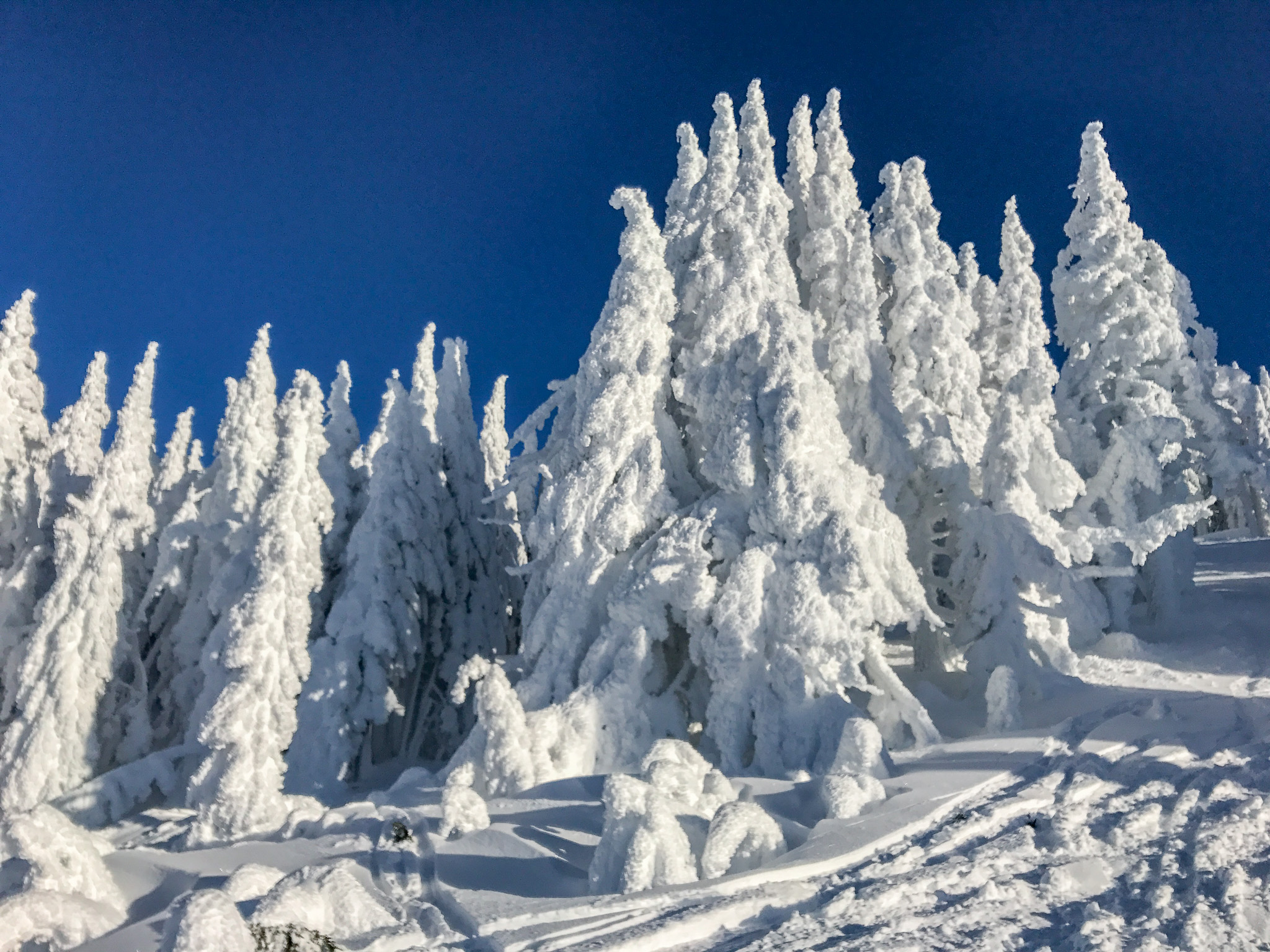 Central Oregon Market Report for New Year's Day 2025