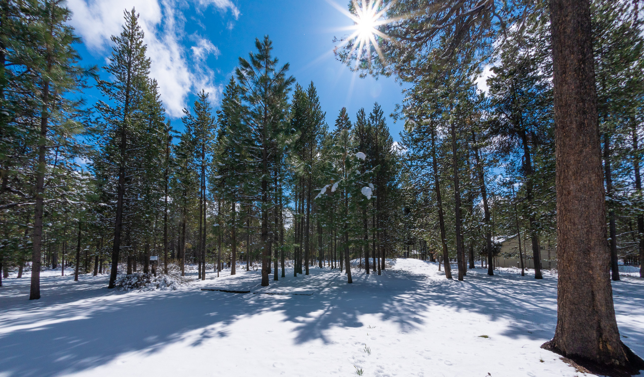Central Oregon Market Report for November 13, 2024
