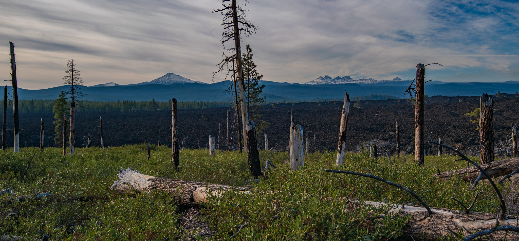 Central Oregon Market Report for November 20, 2024