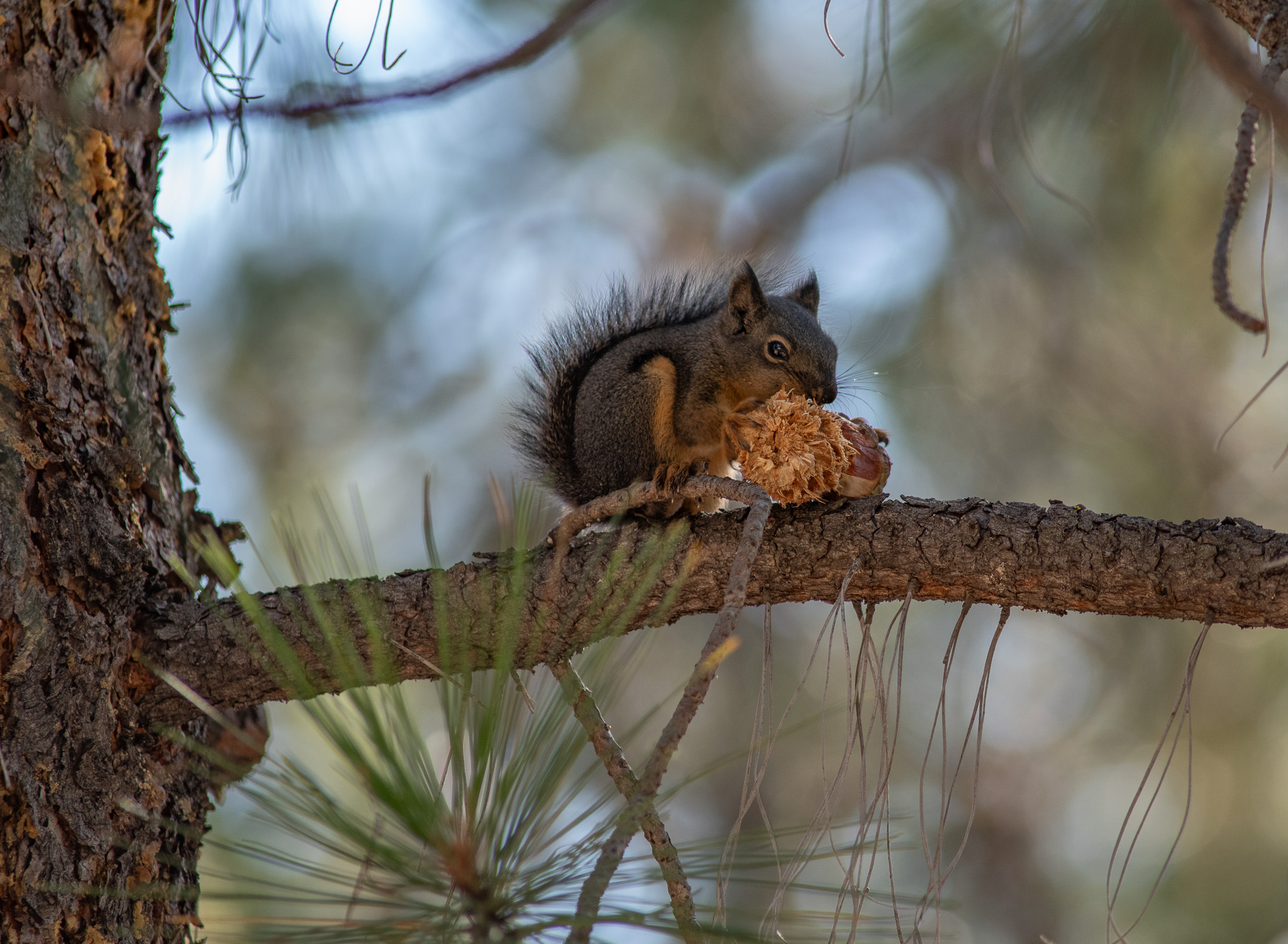 Central Oregon Market Report for October 15, 2025