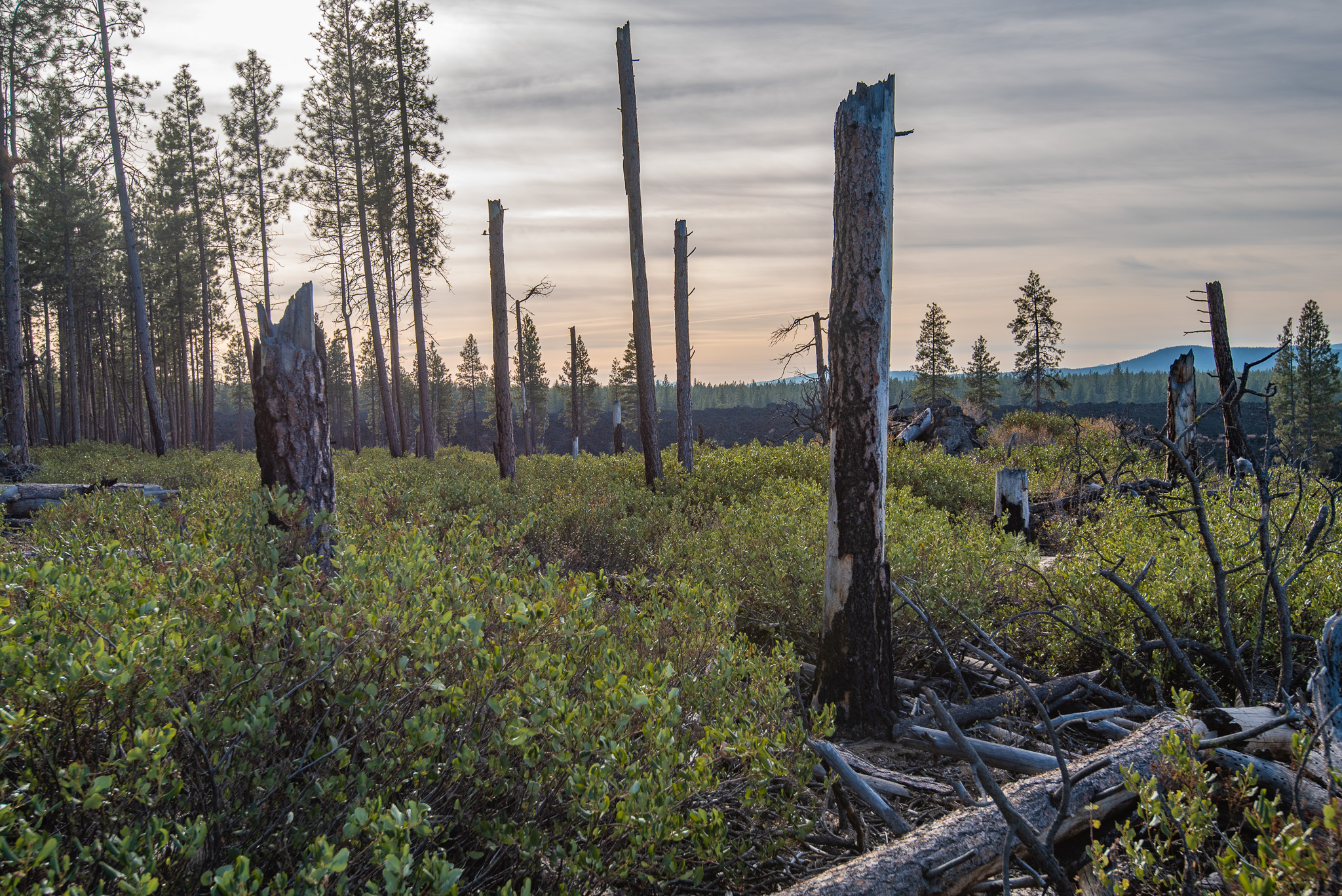 Central Oregon Market Report for October 16, 2024