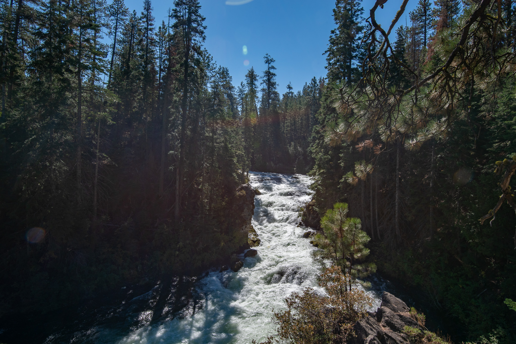 Central Oregon Market Report for October 23, 2024
