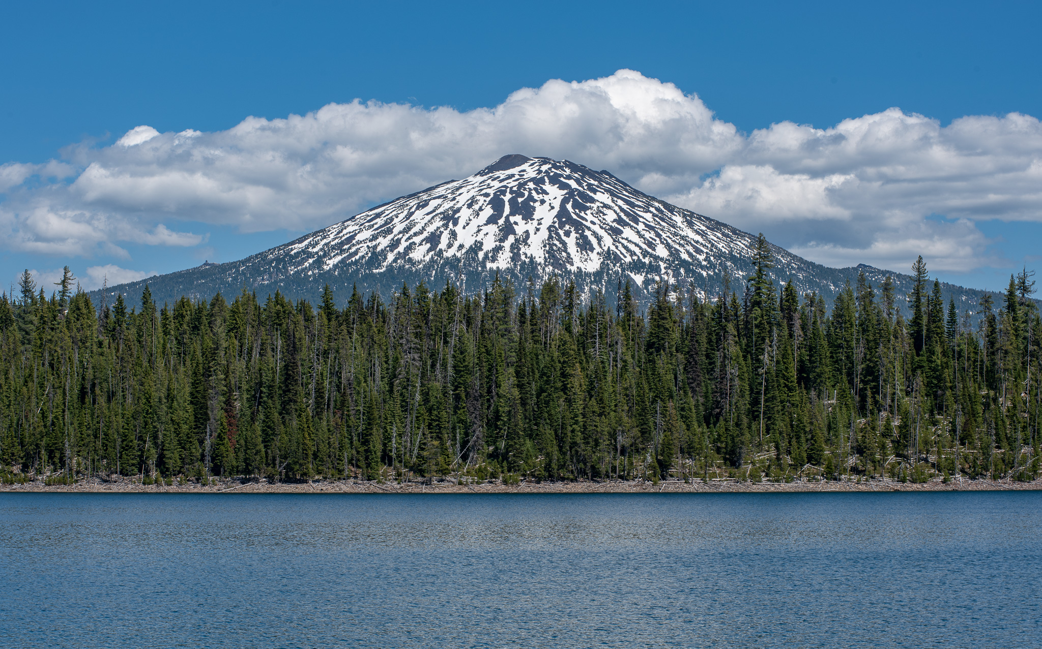 Central Oregon Market Report for September 16, 2026