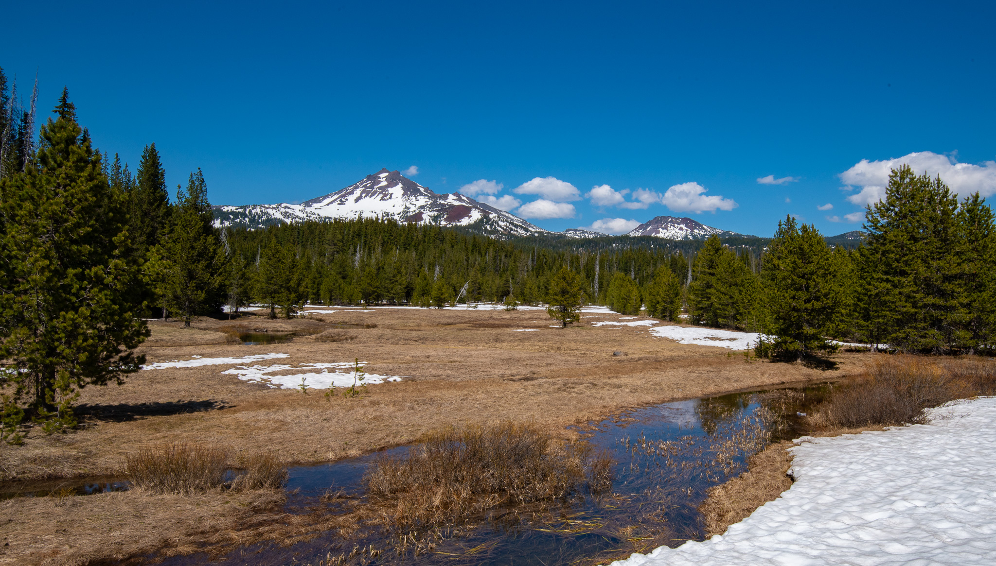 Central Oregon Market Report for August 23, 2023