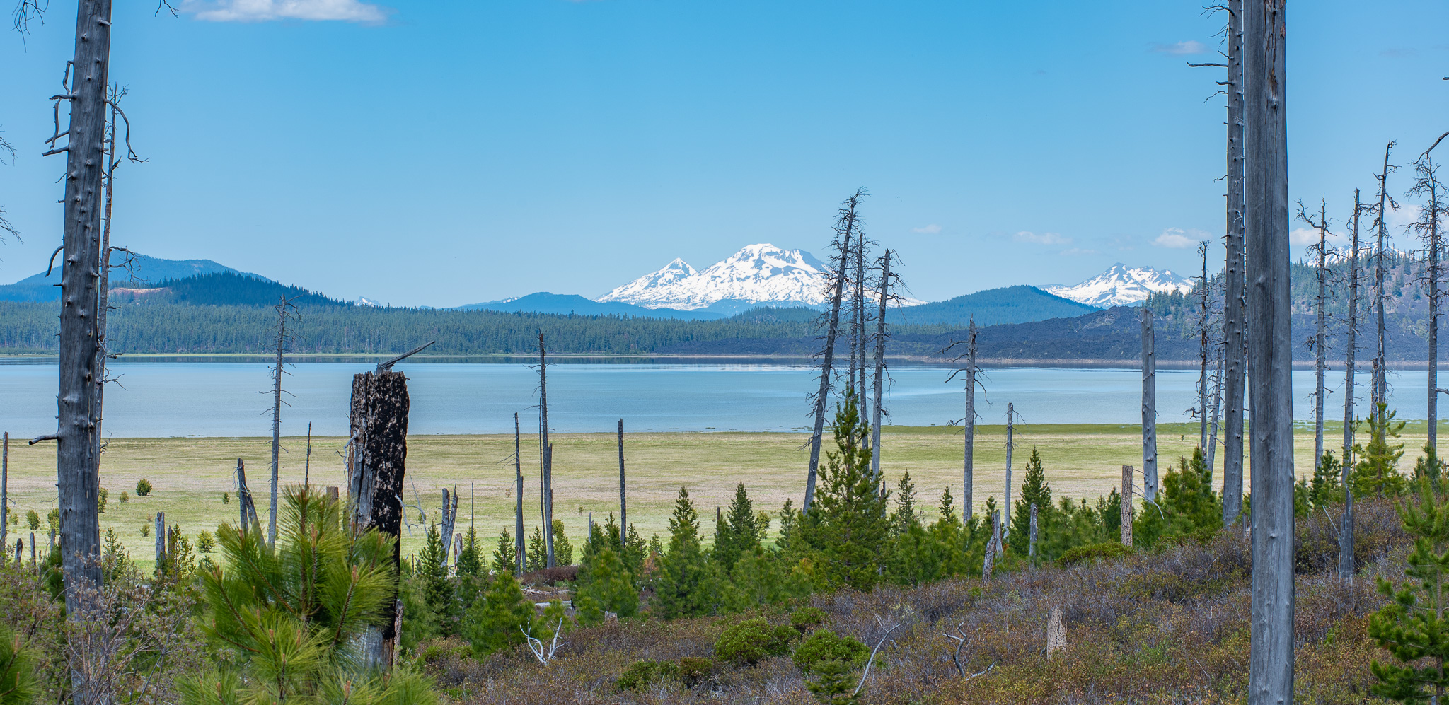 Central Oregon Market Report for July 26, 2023