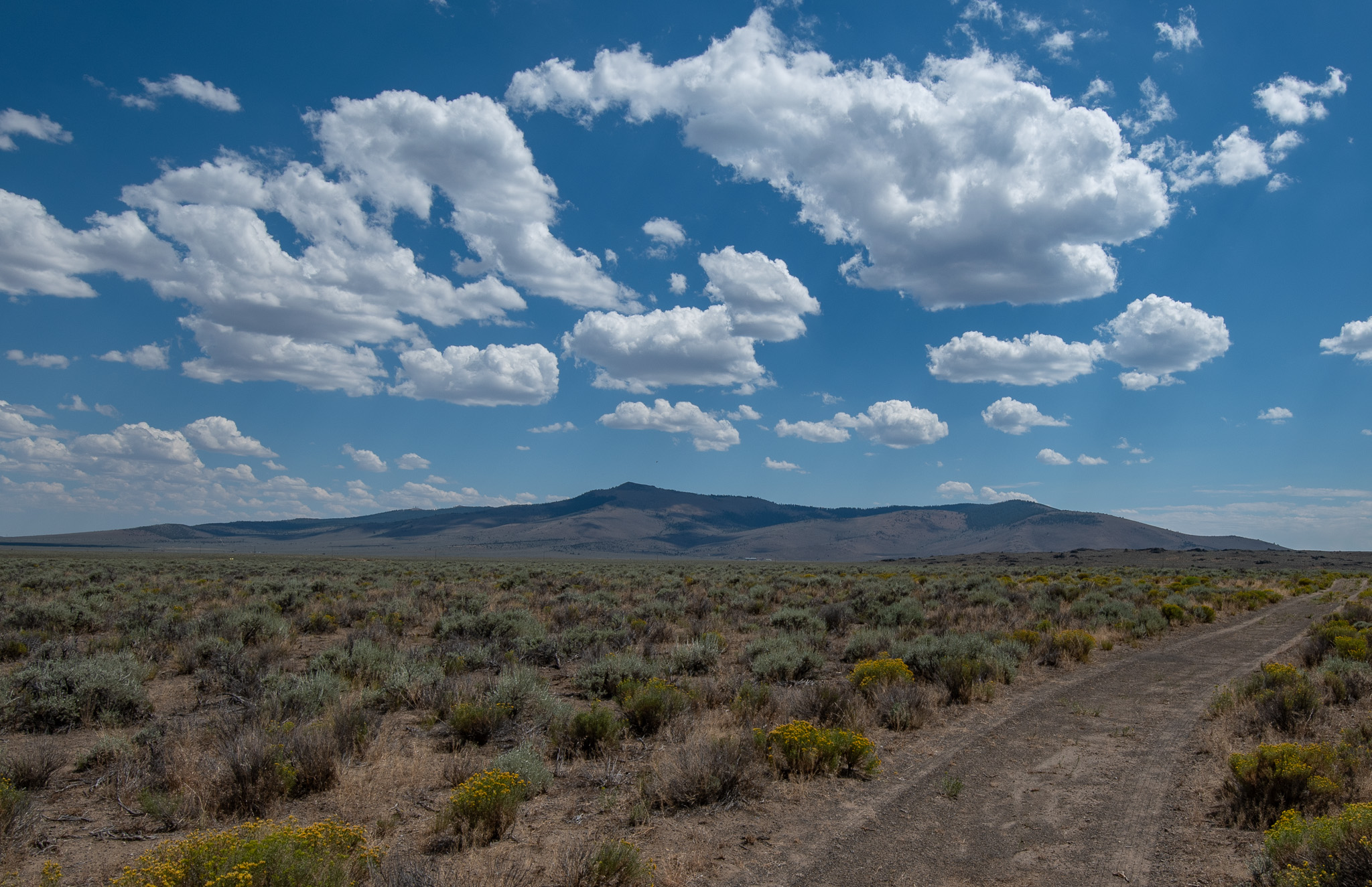 Central Oregon Market Report for October 21, 2026