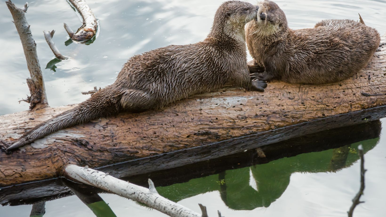 Plan Your Family Staycation in Bend