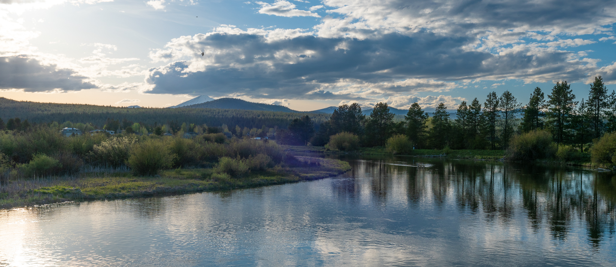 Central Oregon Market Report for August 3, 2022