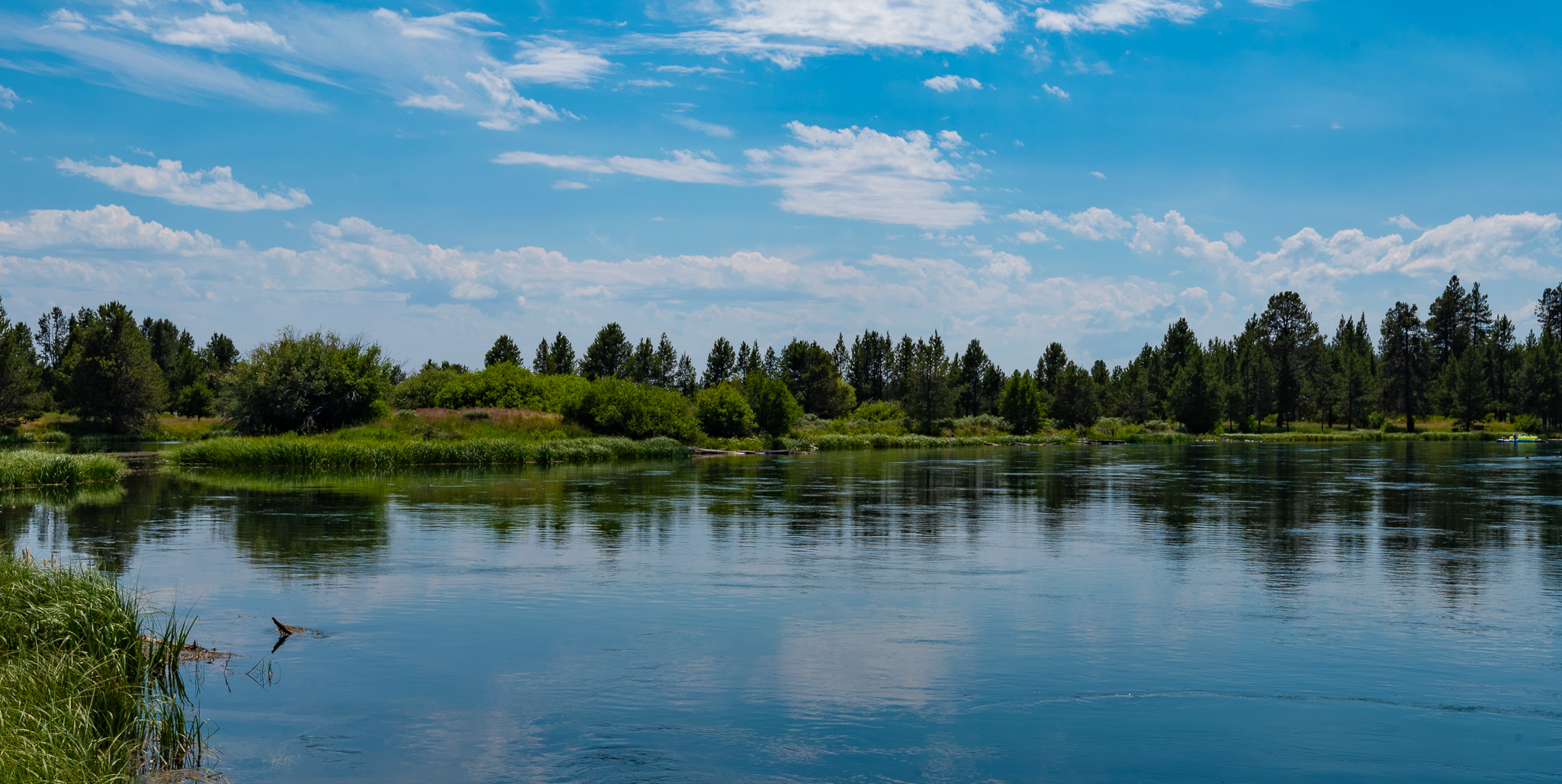 Central Oregon Market Report for July 13, 2022