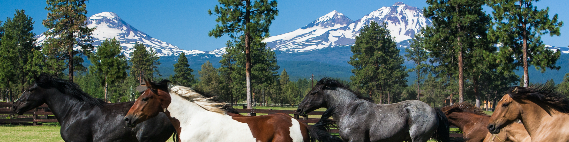 Central Oregon Real Estate Horse Properties For Sale