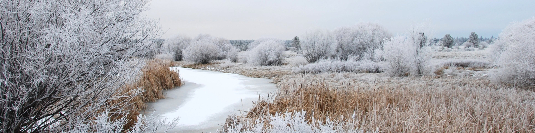 Sunriver Real Estate Crosswater Homes For Sale