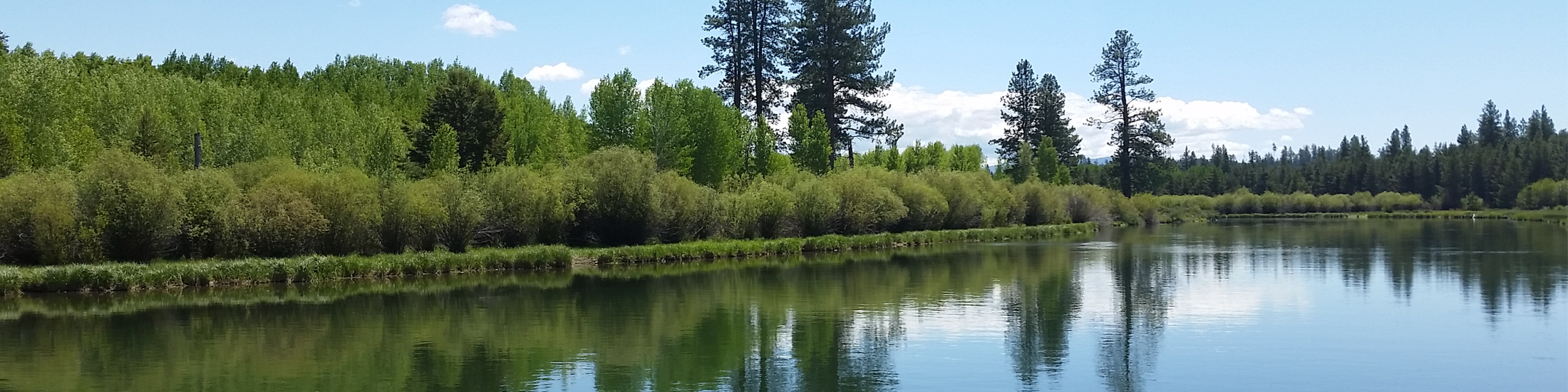 Three Rivers South Real Estate Homes For Sale in Three Rivers South